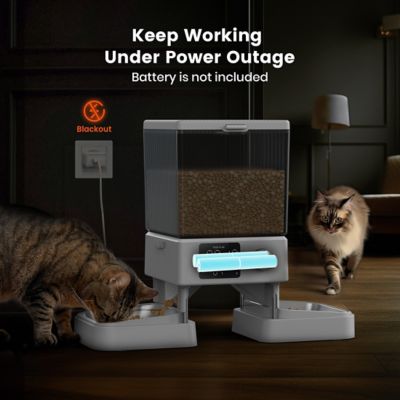 Image showing 6 th Oneisall PFD-002 Automatic Cat Feeder - 5L/20 Cups, Timed Dry Food Dispenser for 2 Cats, Indoor Pet Feeder