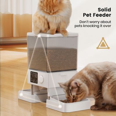 Image showing 7 th Oneisall PFD-002 Automatic Cat Feeder - 5L/20 Cups, Timed Dry Food Dispenser for 2 Cats, Indoor Pet Feeder