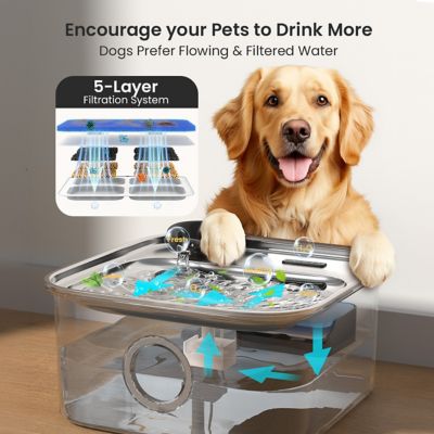 Image showing  PW07 10L/2.6Gal Dog Automatic Water Fountain: Multi-Filtration, LED, Ultra-Quiet, for Multi-pet Family w/3 Filters