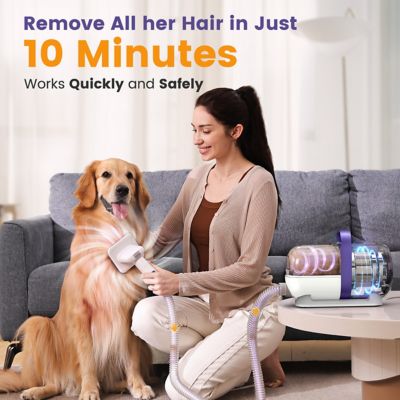 Image showing  LM5 4-in-1 Low-Noise Dog Grooming Vacuum: 12KPa Pet Hair & Home Cleaning Kit