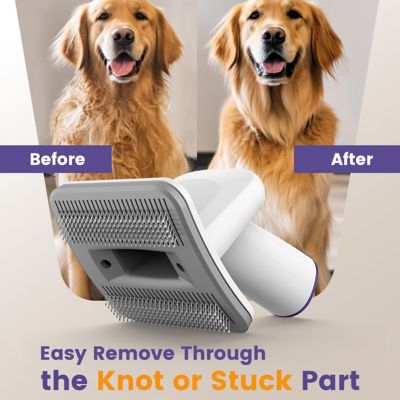 Image showing  LM5 4-in-1 Low-Noise Dog Grooming Vacuum: 12KPa Pet Hair & Home Cleaning Kit