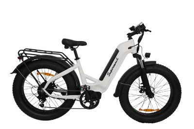 Image showing  24 in. Tire Electric Bike - White