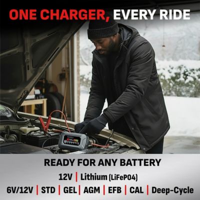 Image showing 1 th Schumacher 2-In-1 Replacement Clamps 24 in.