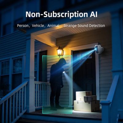 Image showing 6 th Cinmoore Dual Band WiFi Indoor/Outdoor Camera