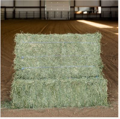 Standlee Alfalfa 3 String Bale on a Pallet