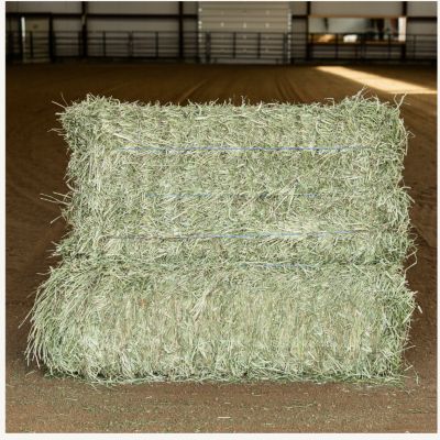 Standlee Timothy 3 String Bale on a Pallet