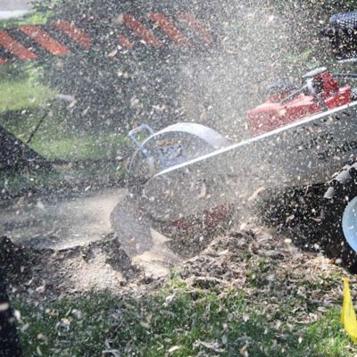 Image showing 2 th Dosko Stump Grinder 20 HP Self-Propelled Honda GX630