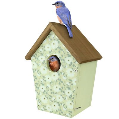 Nature's Way Olive Blossoms Decorative Bluebird House