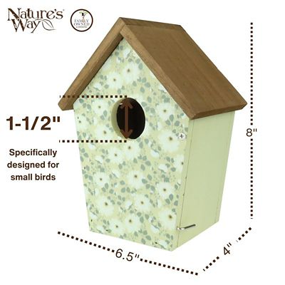 Image showing  Olive Blossoms Decorative Bluebird House