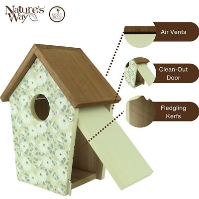 Image showing  Olive Blossoms Decorative Bluebird House