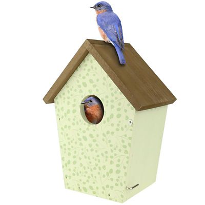 Nature's Way Spring Ivy Decorative Bluebird House