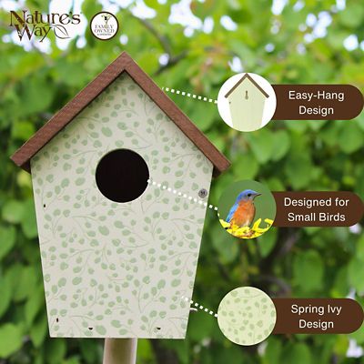 Image showing  Spring Ivy Decorative Bluebird House