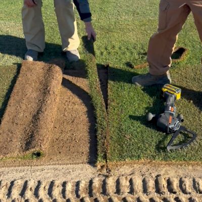 Image showing  AllSaw Cordless Landscaping Wood and Turf Kit Powered by DEWALT (1 Turf Blade, 1 Wood Blade)