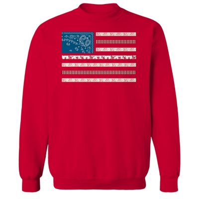 Goodie Two Sleeves Women's Patch Flag Long Sleeve Pullover Graphic Sweatshirt