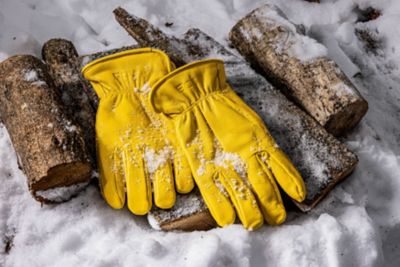 Image showing  Insulated Premium Deerskin Leather Work Gloves