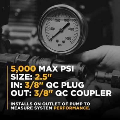 Image showing 3 th BE Power Equipment PW Quick-Connect Pressure Gauge