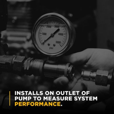 Image showing 4 th BE Power Equipment PW Quick-Connect Pressure Gauge