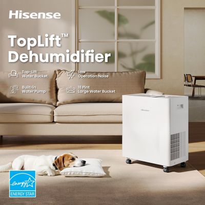 Image showing  50 Pint Lift-Up Dehumidifier for 4,500 sq. ft. with Pump in Black