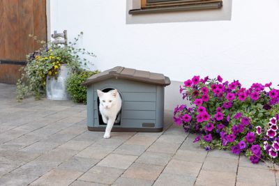 Image showing 1 th Kerbl Cat House Paola Eco