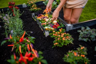 Image showing  Urbana 6 x 6ft. Vinyl Keyhole Composting Garden Bed