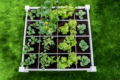 Image showing  Classic 48 x 48 x 11in. Vinyl Raised Garden Bed with Grid, White