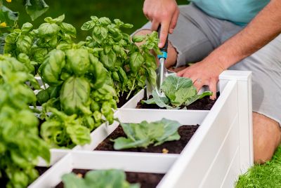 Image showing  Classic 48 x 48 x 11in. Vinyl Raised Garden Bed with Grid, White