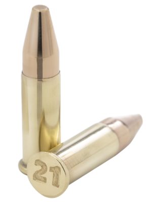 Winchester Ammo USA .21 SHARP 42-Grain Full Metal Jacket Rimfire Ammunition, 100-Rounds