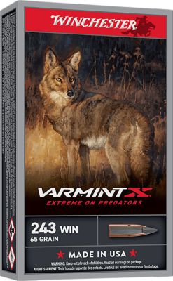 Winchester Ammo Varmint .243 Win 65-Grain Extreme Point Rifle Ammunition, 20 Rounds