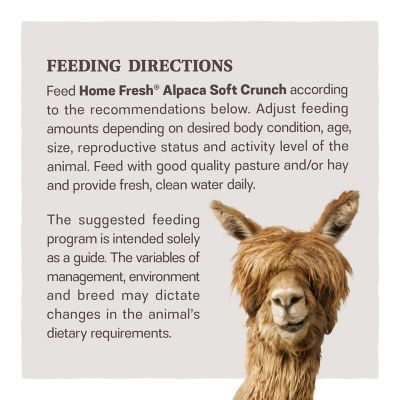 Image showing  Home Fresh Alpaca Soft Crunch