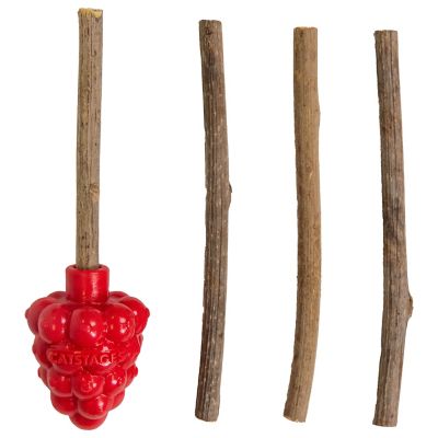Catstages Raspberry Silvervine Teether Red