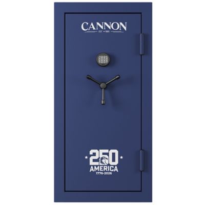 Image showing  34-Gun 60 Min. Fire Resistant safe
