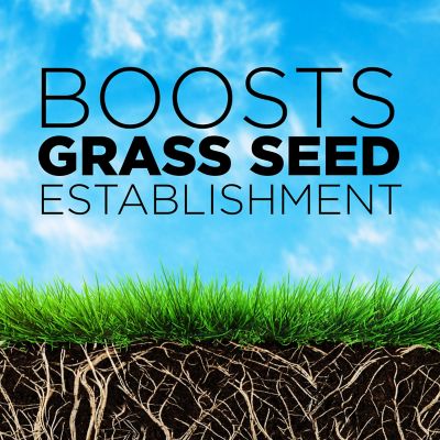 Image showing  Solutions Starter Fertilizer 10-18-10 16 lb.