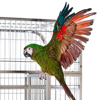 Image showing 7 th Prevue Pet Products Imperial Extra Large Stainless Bird Cage