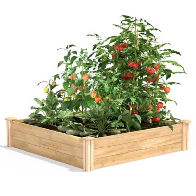Image showing  Classic Cedar Raised Garden Bed, 4 ft. x 4 ft. x 10.5 in. (1/2 in. Thick)