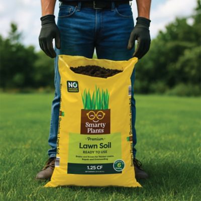 Image showing  Premium Lawn Soil