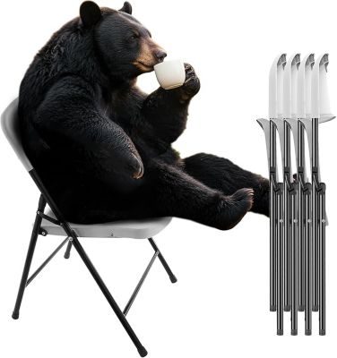 Red Mountain Valley 4 pk. Portable Folding Chair