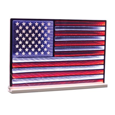 Melrose International American Flag Ekko Light Display 23 in. L