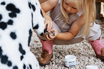 Image showing  Barn Dog Paw Balm