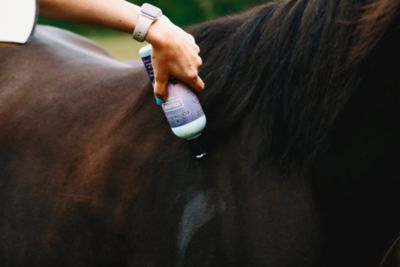 Image showing  Skin Lotion