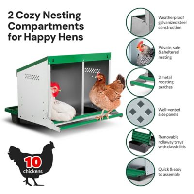 Image showing  2-Compartment Reverse Rollout Chicken Nesting Box for 10 Hens