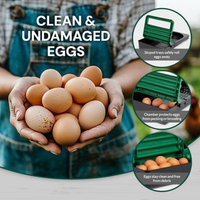 Image showing  2-Compartment Reverse Rollout Chicken Nesting Box for 10 Hens