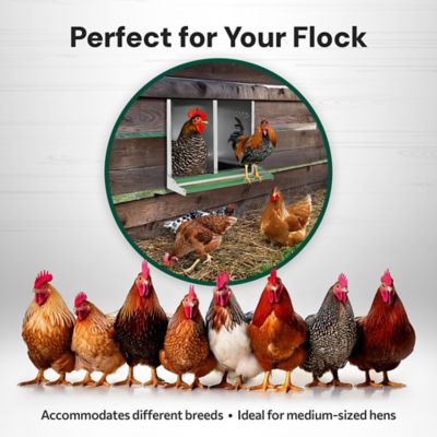 Image showing  2-Compartment Reverse Rollout Chicken Nesting Box for 10 Hens