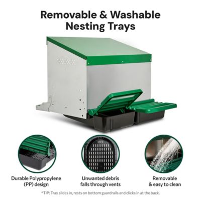 Image showing  2-Compartment Reverse Rollout Chicken Nesting Box for 10 Hens