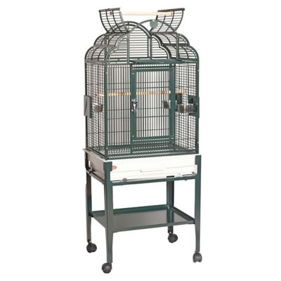 A&E Cage HQ Open Elegant Top Cage, Small, Green