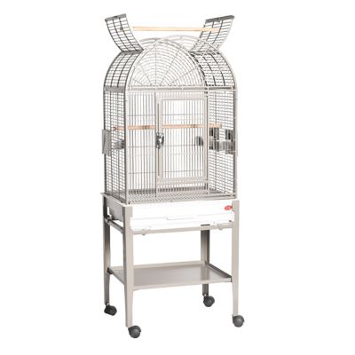 A&E Cage HQ Open Dome Top Cage, Platinum