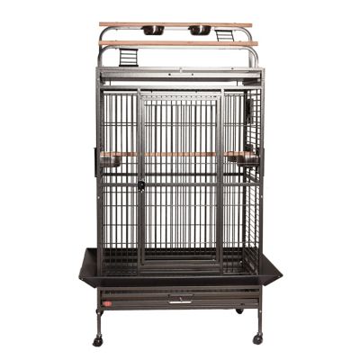 A&E Cage HQ Play Top Cage, Large