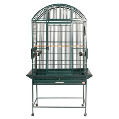 A&E Cage HQ Dome Top Cage, Medium, Green