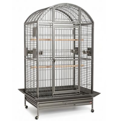 A&E Cage HQ Dome Top Cage, Large, Platinum