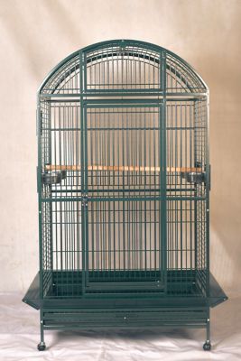 A&E Cage HQ Dome Top Cage - XL, Green