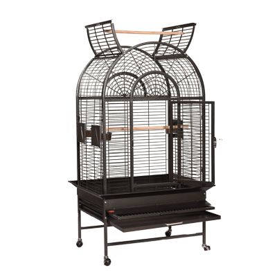 A&E Cage HQ Open Top Cage, Medium, Platinum